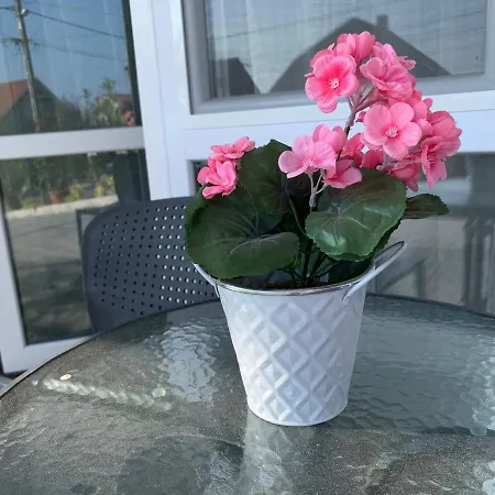 Bed & Breakfast Gesztenye Panzio *